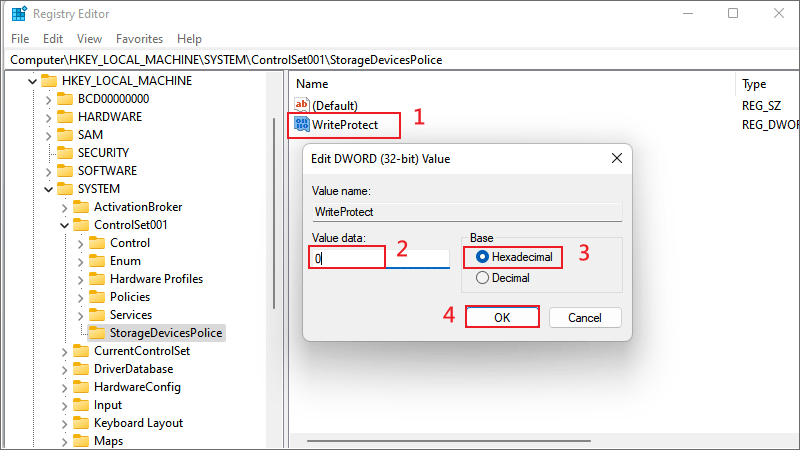 double click WriteProtect to enter 0 in the run box