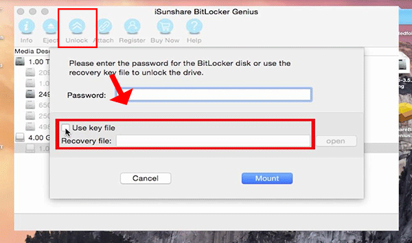 choose Use key file option to unlock