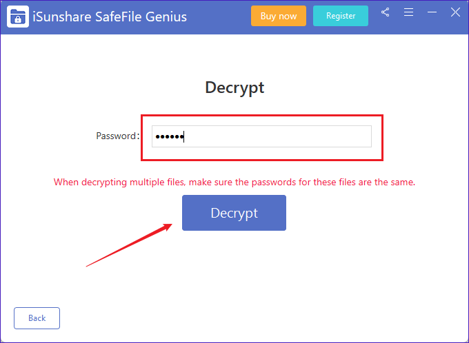 enter password to decrypt
