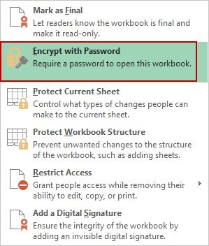 choose encrypt workbook with password