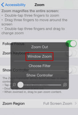 select window zoom