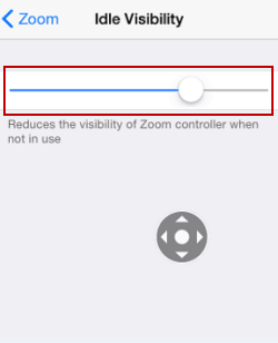 change zoom controller visibility
