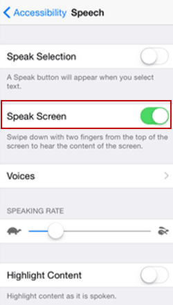 enable speak screen