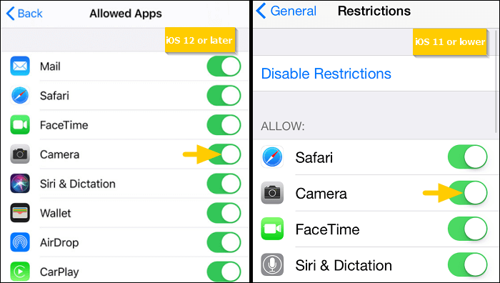 enable camera in restrictions