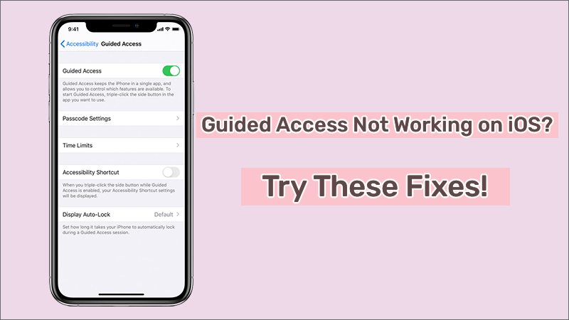  Guided Access Not Working 