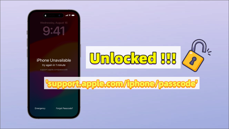 support apple.com iPhone passcode