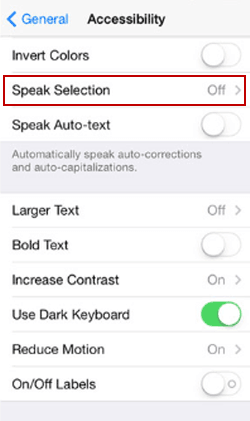 speak selection in accessibility