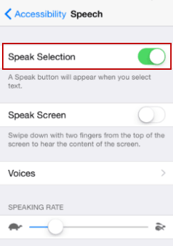turn on speak selection