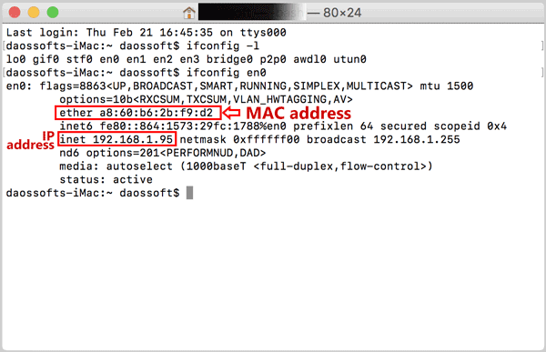get ip address and mac address from terminal