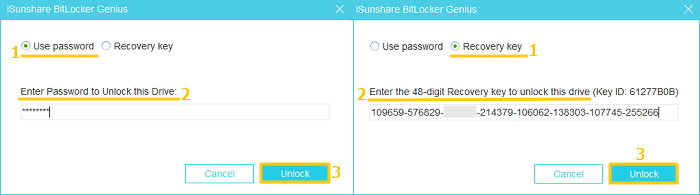 unlock bitlocker with password or key