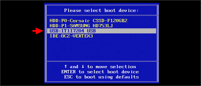 boot from the usb boot disk