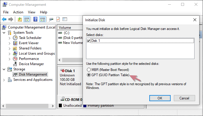 initialize disk with gpt