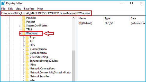 go to the windows key in the registry editor