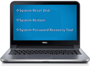 reset Dell administrator password without disk