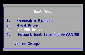 select CD-ROM as first boot option in boot menu