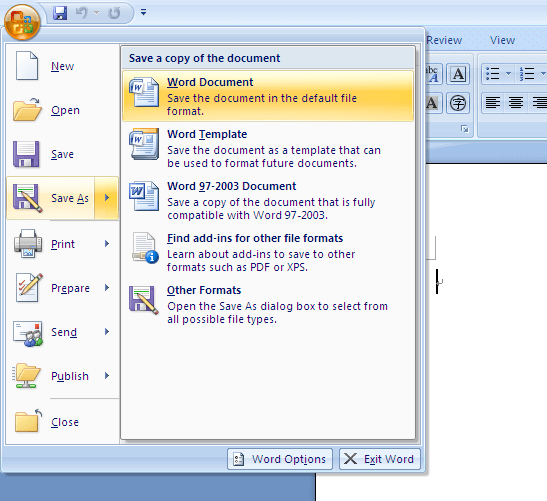 choose save as in word