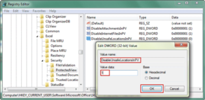 change value data to disable protected view in registry