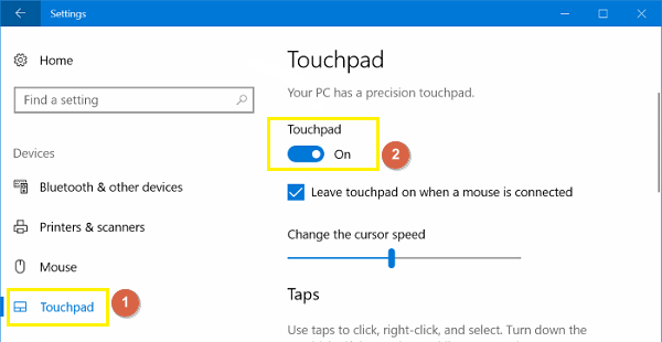 turn on touchpad function