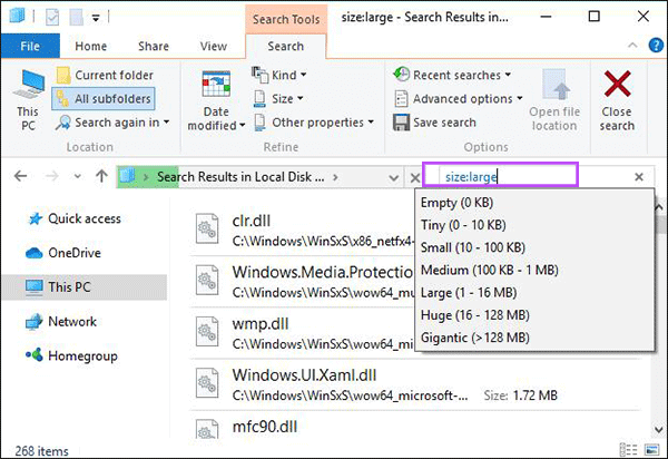 search for large files