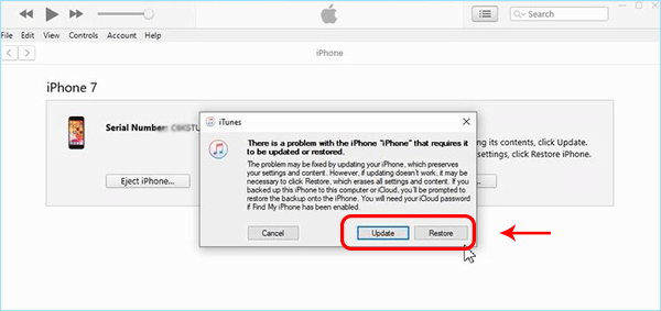 update or restore option in iTunes