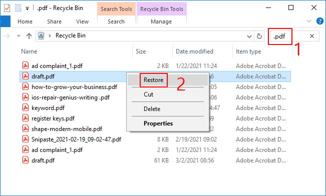 recover the deleted pdf files from recycle bin