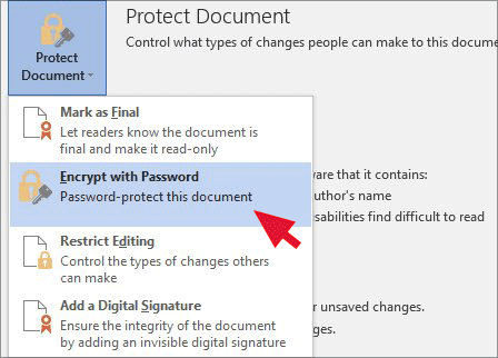 click Encrypt with password