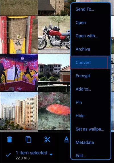 click Convert in MiXplorer