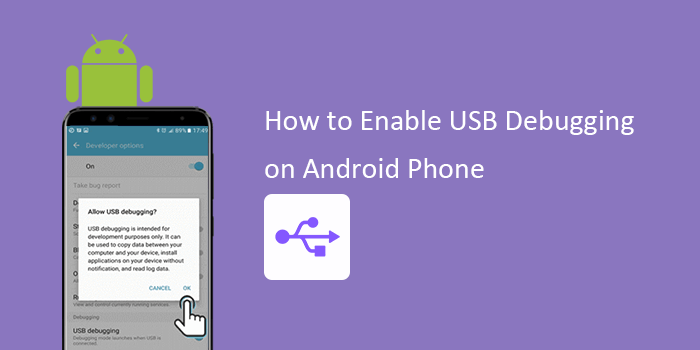 enable USB Debugging on Android phone
