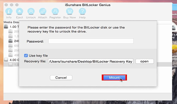 mount the BitLocker drive on Mac