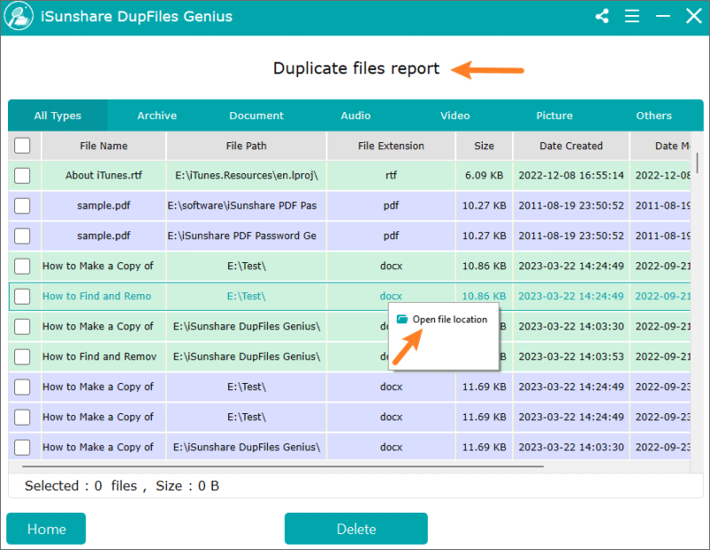 duplicate files report