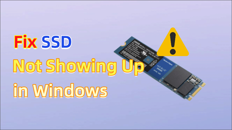 SSD Not Showing Up