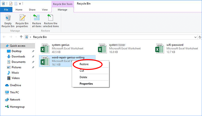 restore deleted excel file from recycle bin