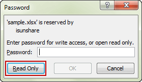 excel add password read only