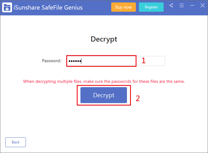 enter password to decrypt