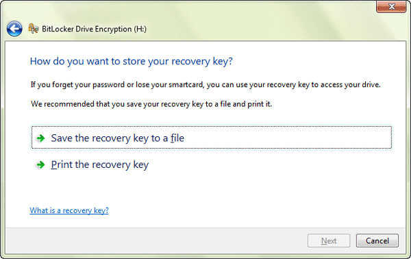 save or print recovery key for drive access