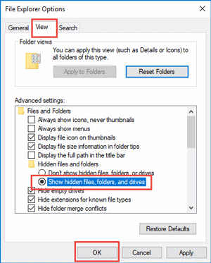 show hidden files in file explorer options
