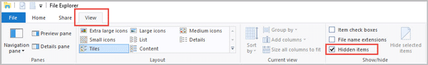 show hidden items in file explorer