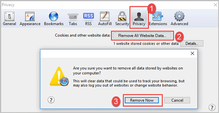 remove all website data in safari to delete cache