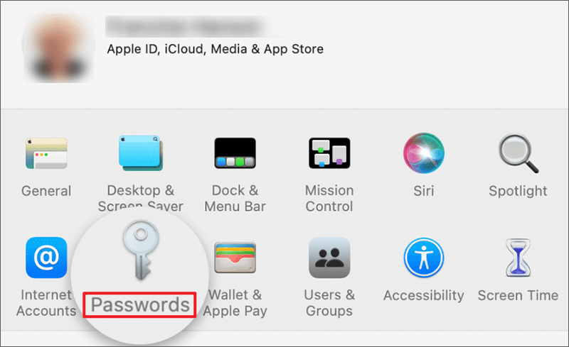Find Apple ID Password on Mac
