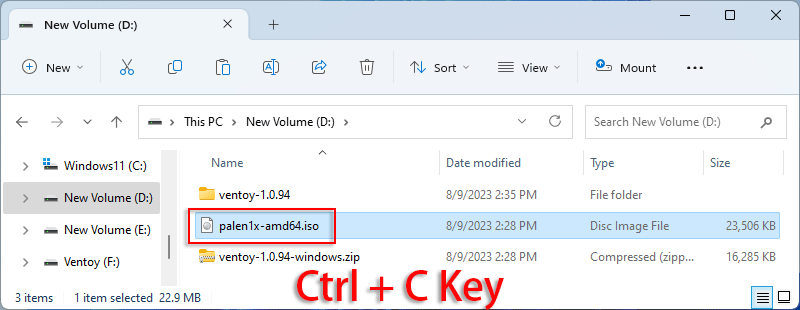 copy the file