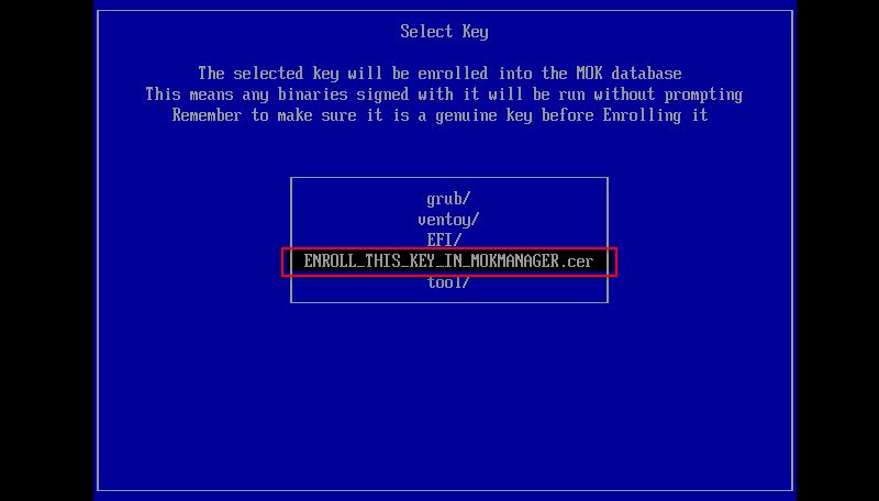 ENROLL_THIS_KEY_IN_MOKMANAGER.cer