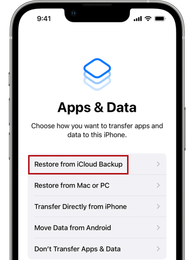 Restore from iCloud Backup