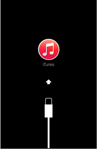 connect iOS devices to iTunes with USB