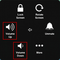 choose volume up or volume down