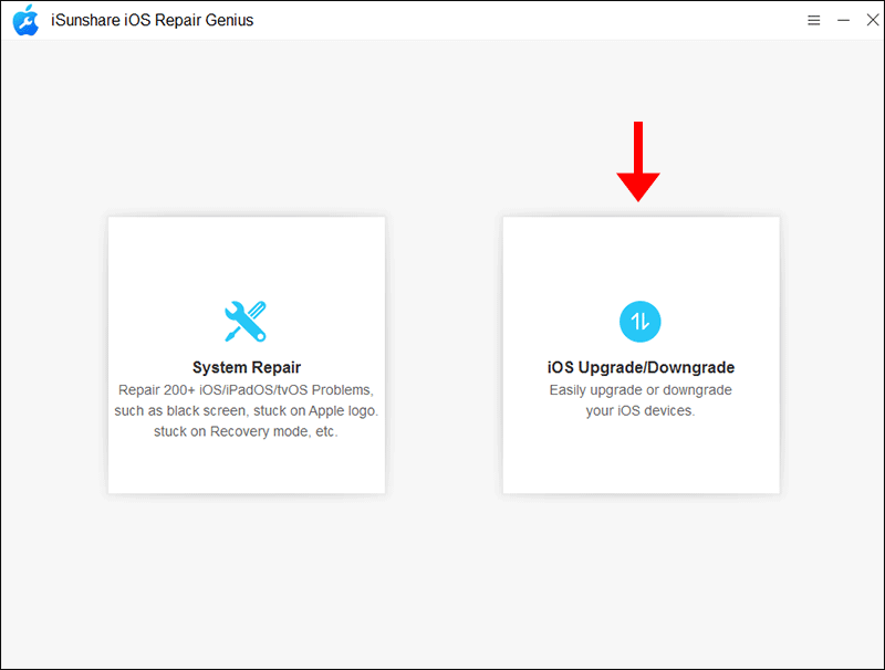 select iOS Upgrade/Downgrade