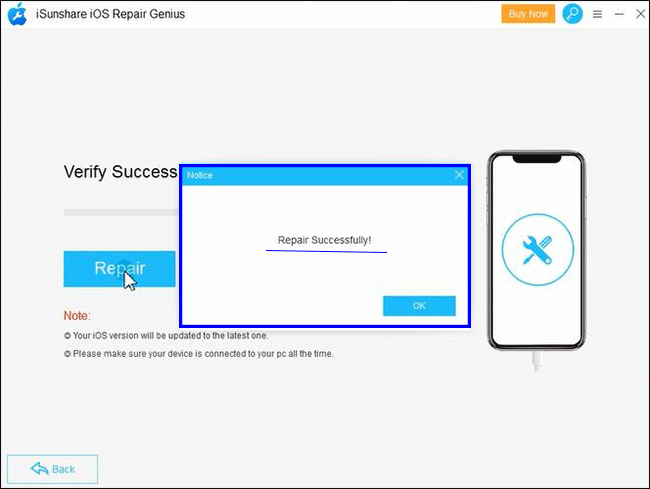 repair successful prompt