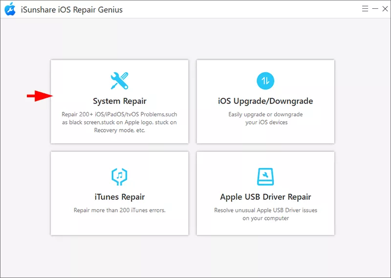 select system repair