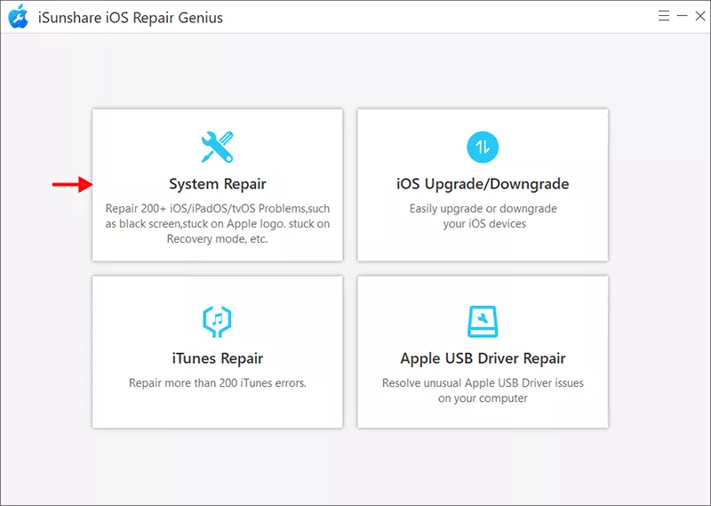 select System Repair