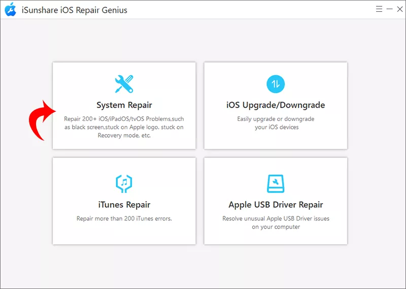 select System Repair