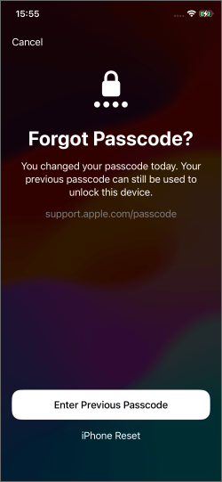 enter previous passcode